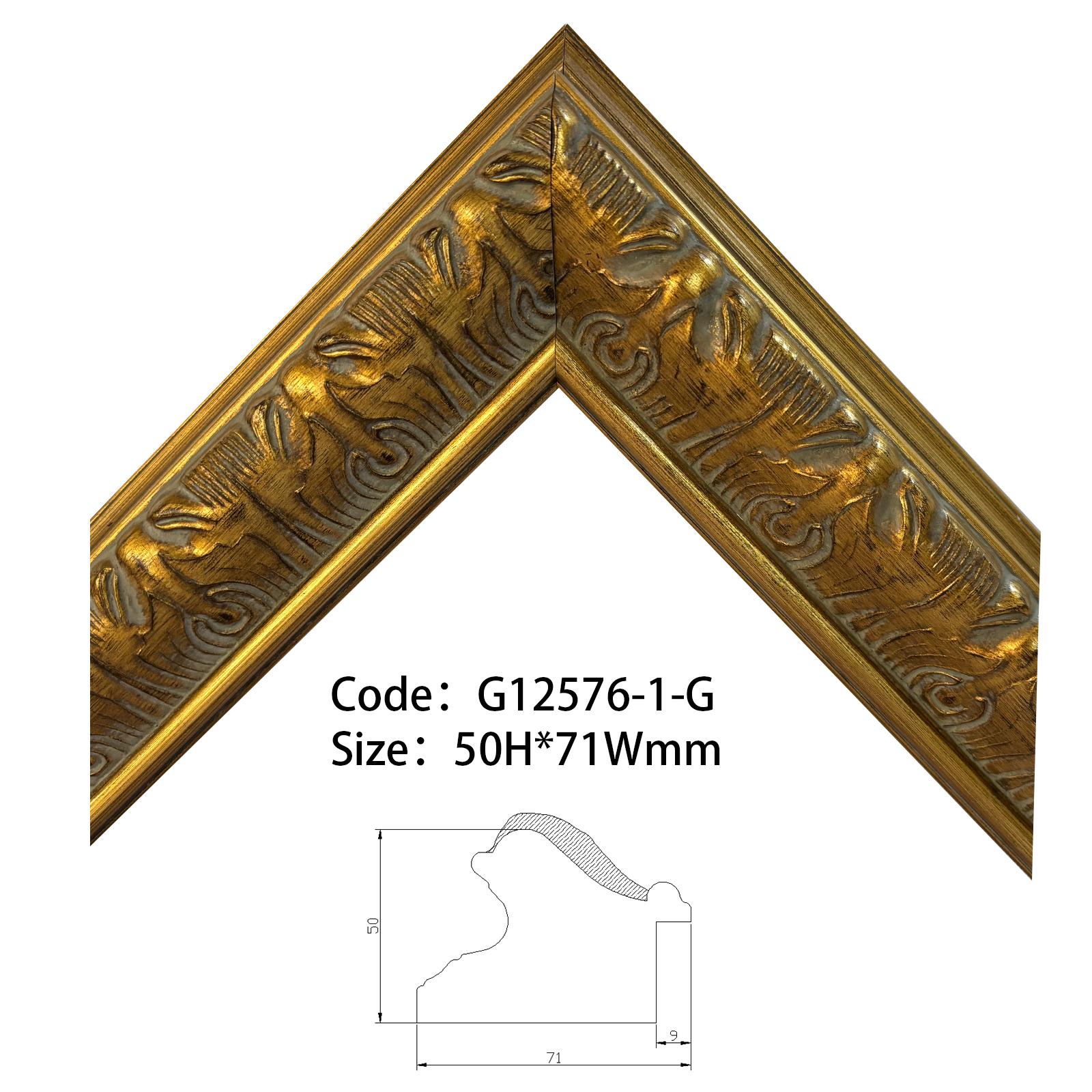 G12576-1-G