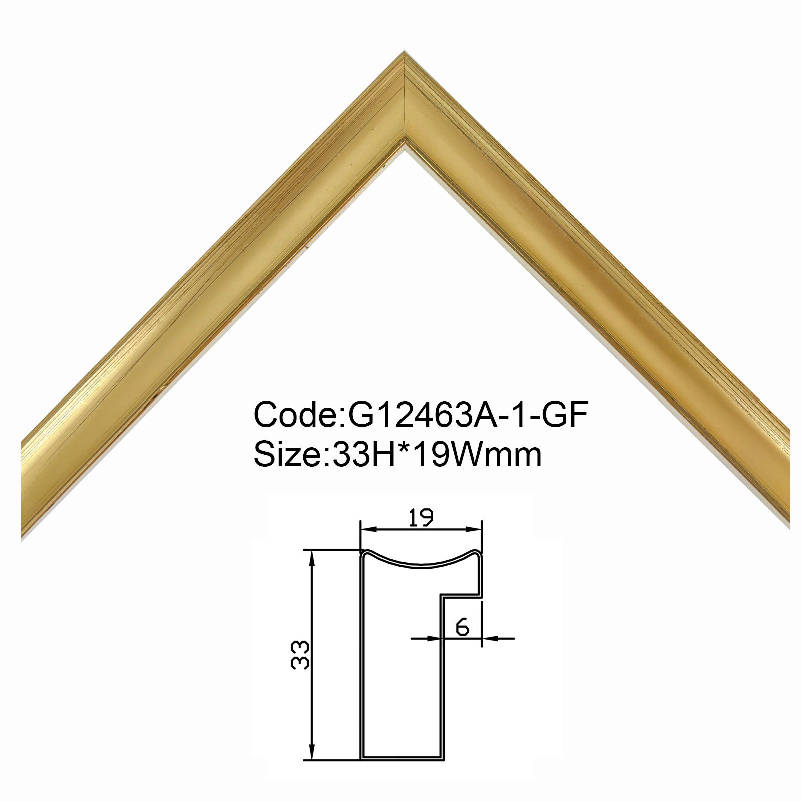 G12463A